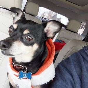 Meet your Posher, Alicia